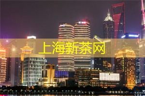 黑白相纸 黑白相纸